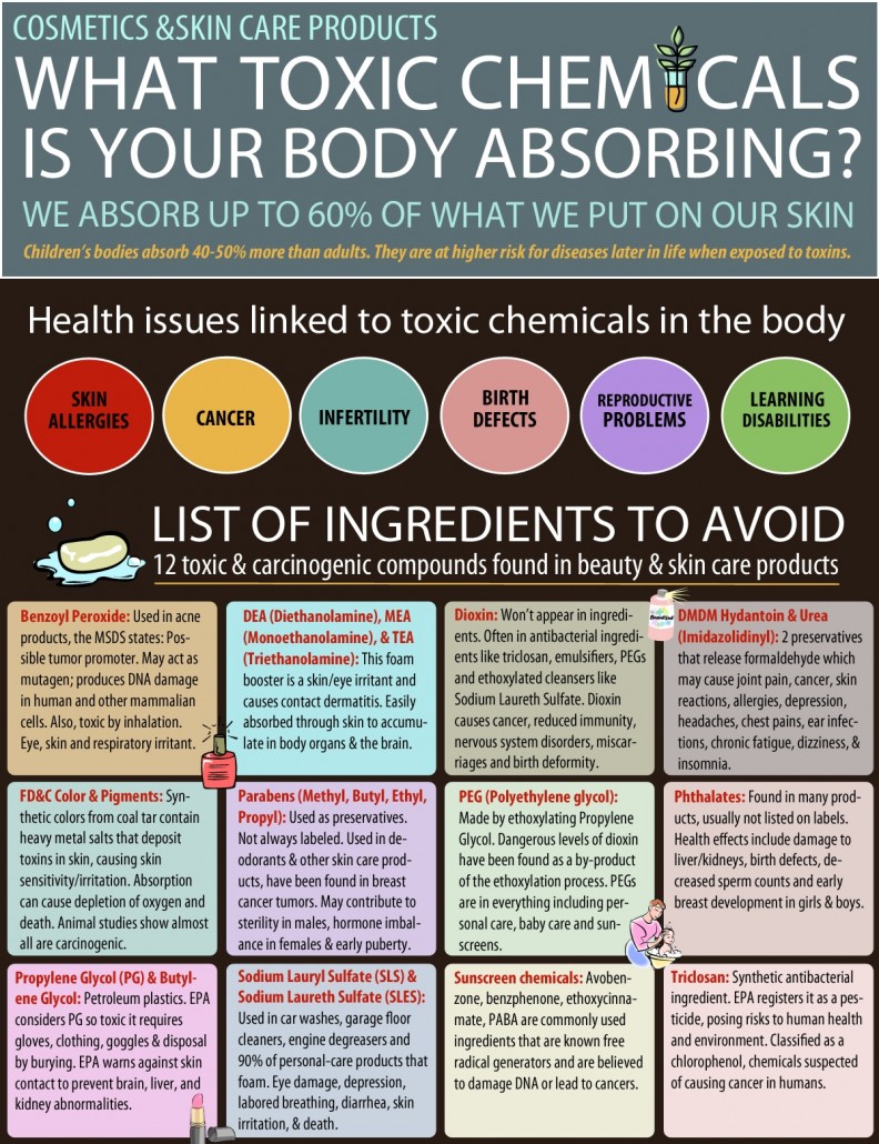 toxic chemicals your body is absorbing